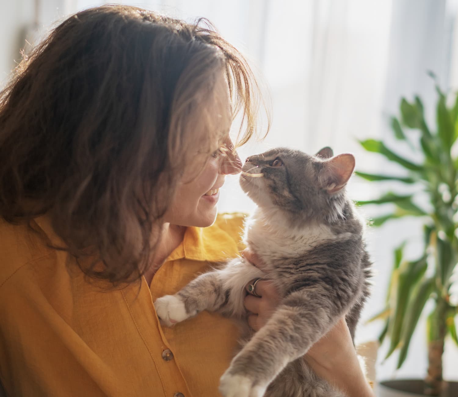 A woman in a yellow shirt holds a gray and white cat, touching noses with it, indoors near a green houseplant.