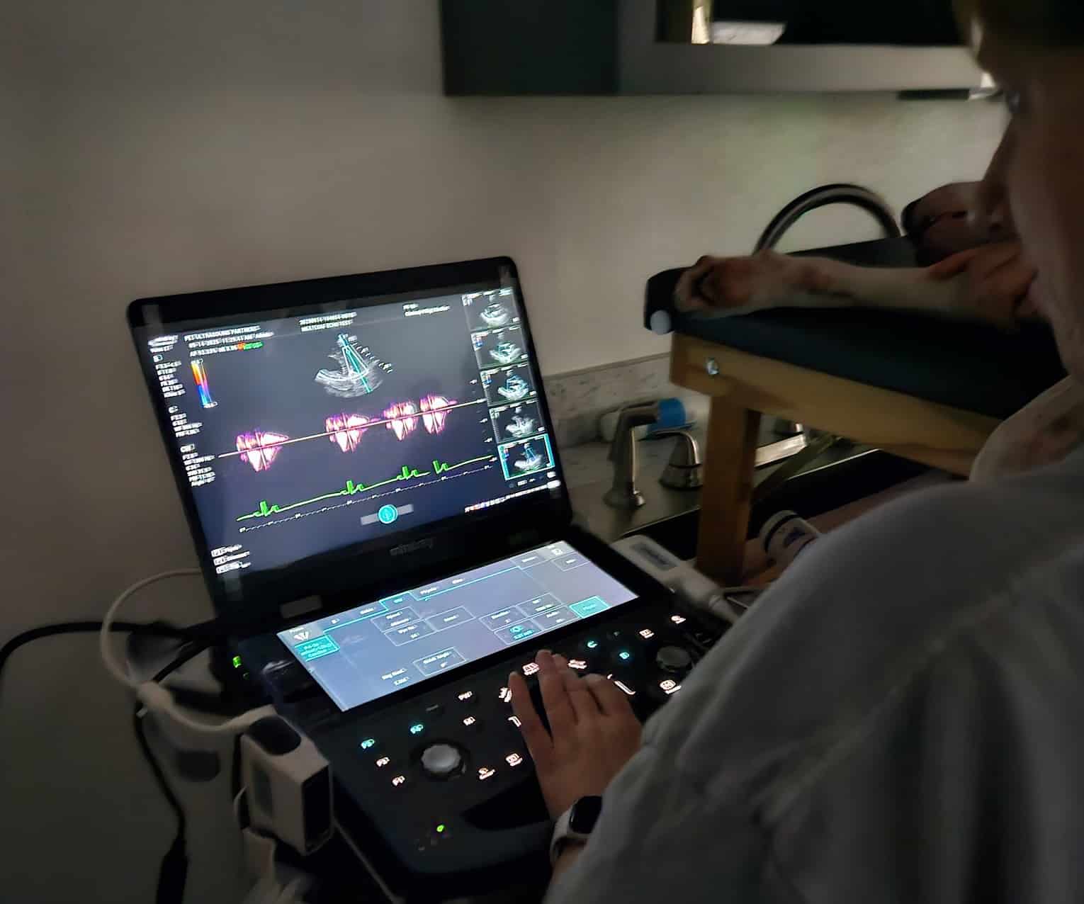 Frequently Asked Questions About Veterinary Echocardiograms