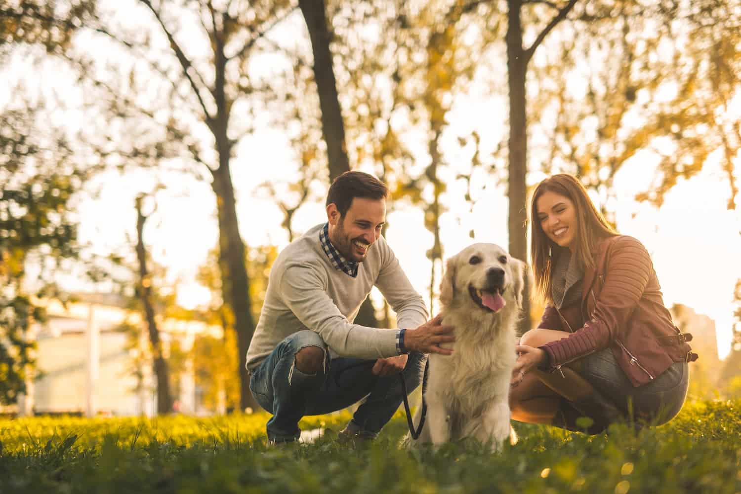 A man and a woman are kneeling on grass, petting a golden retriever in a park with trees in the background.